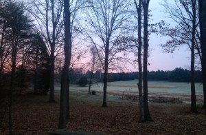 View from Good Neighbor House