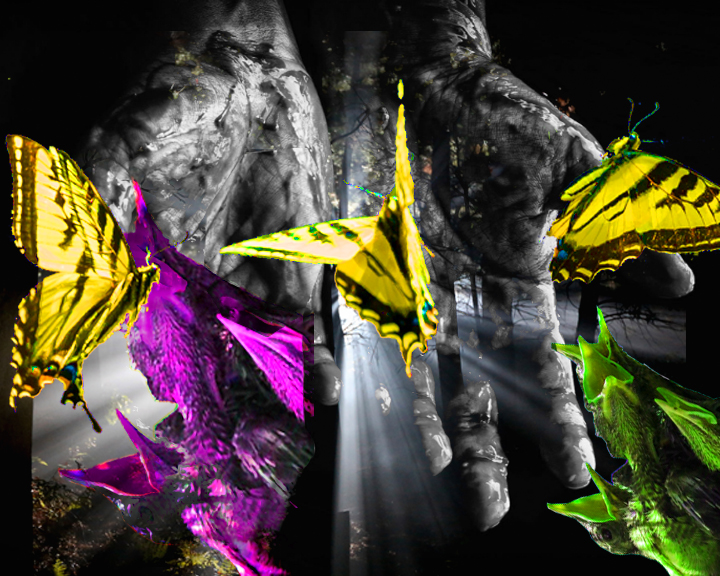 Bloody Hands and Butterflies_3